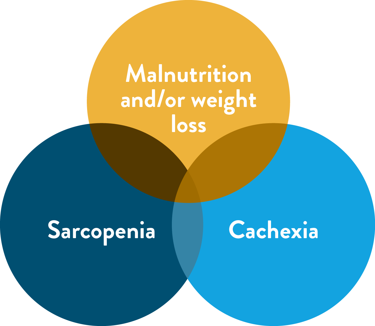 nutritional-vulnerability-venn-diagram-cancer